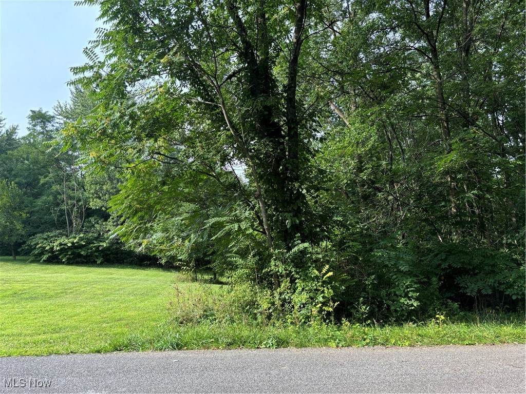 V/L Coleman Avenue - Photo 1