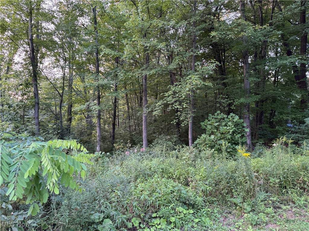  Booth Road - Photo 1