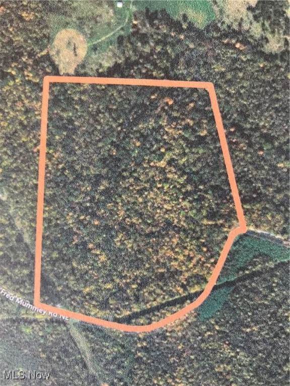  Mummey Road - Photo 1