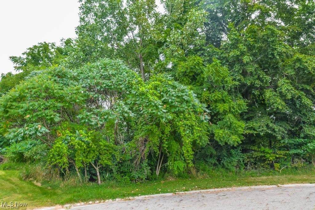  St Elmo Avenue - Photo 1