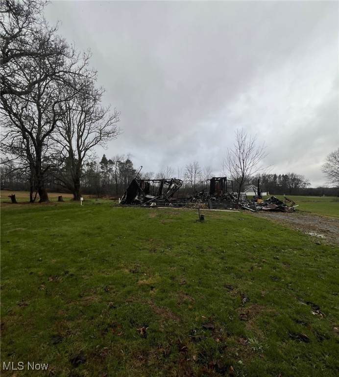 10200 Youngstown Salem Road - Photo 1