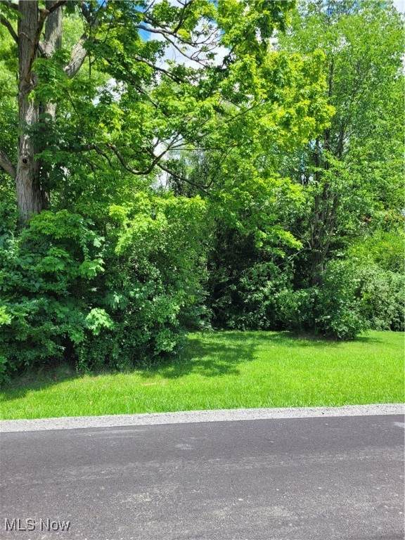 Townsend Avenue - Photo 1