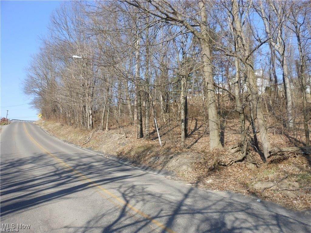 VL Greenwood Avenue - Photo 1