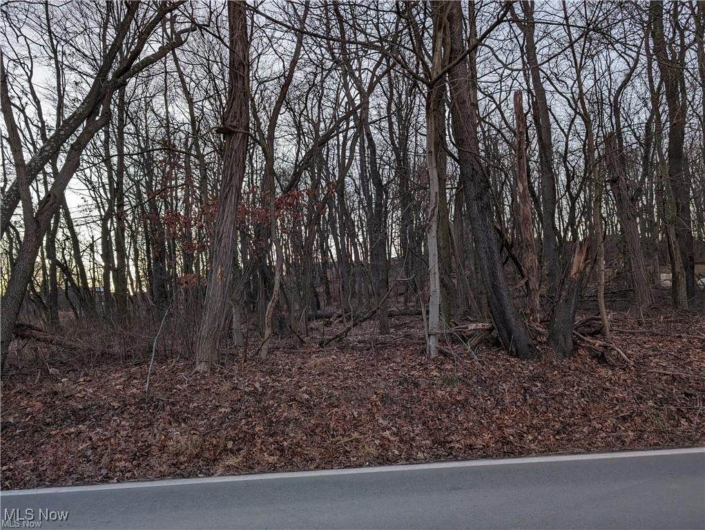 000 Florence Road - Photo 1