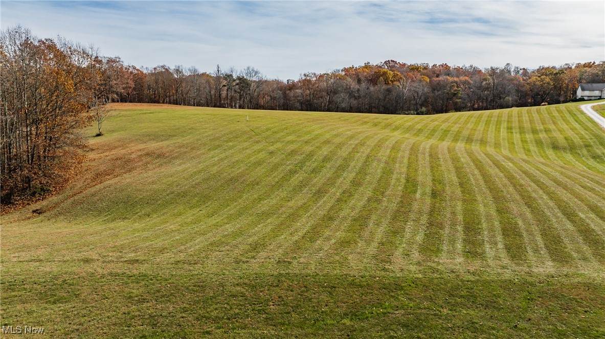 0 Chalagi Lane, Tract Two 12.616 Acres - Photo 1