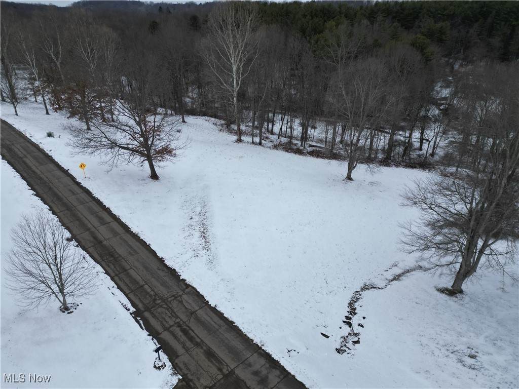 9585 Country Club Estate Drive - Photo 1