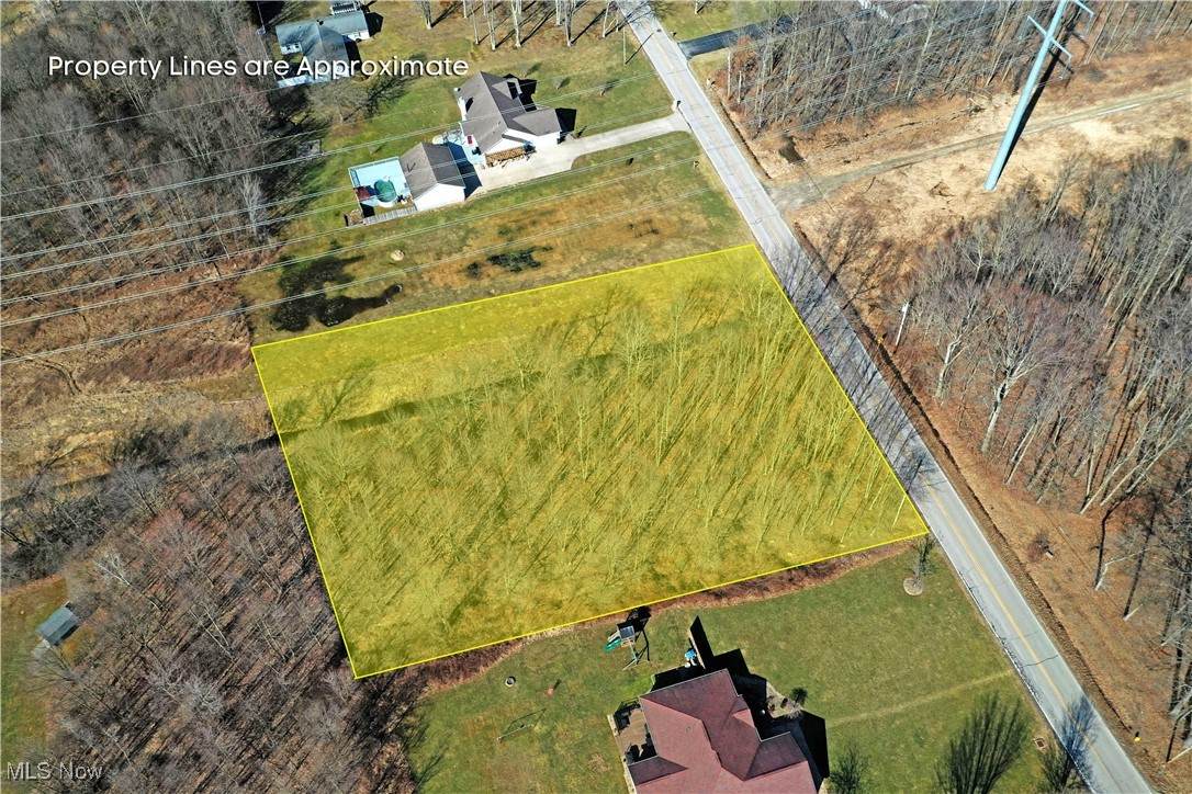 Lyntz Townline Road - Photo 1