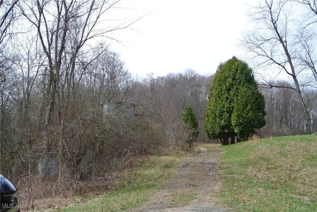 69517 Hopewell Road - Photo 1
