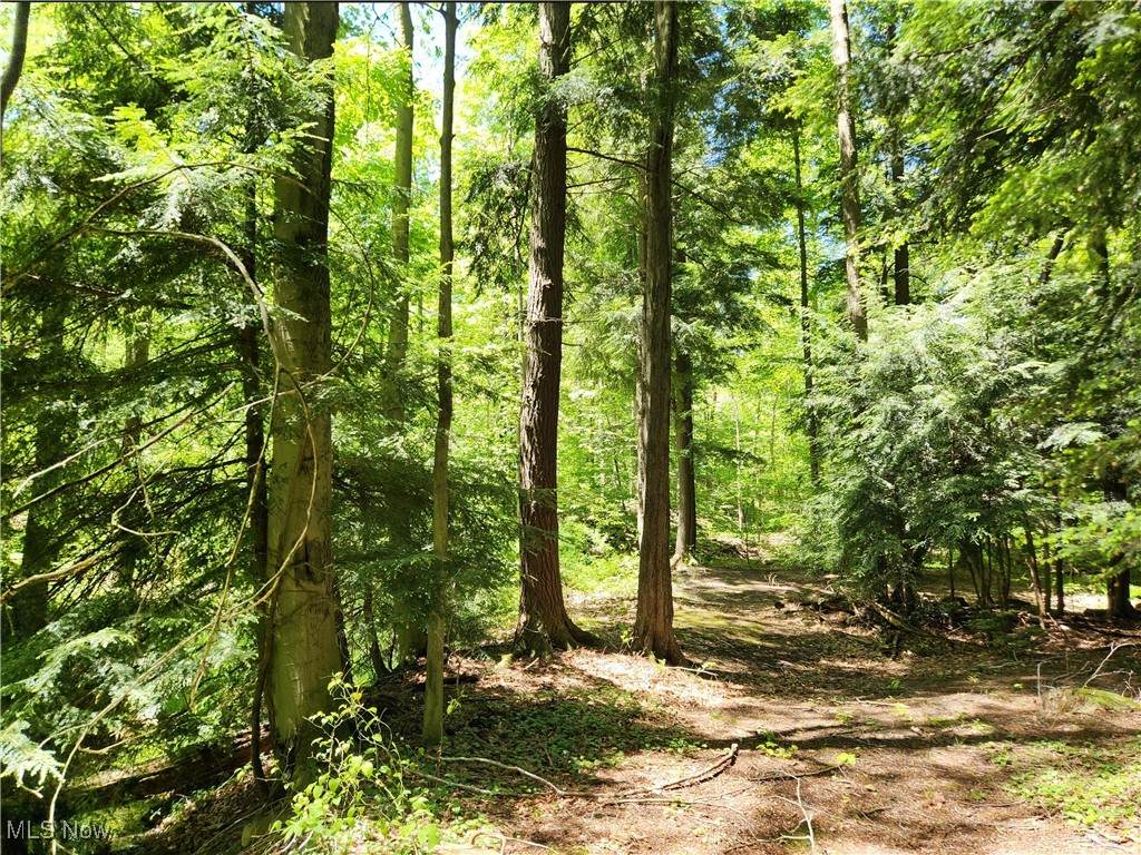 VACANT LAND Brakeman Road - Photo 1