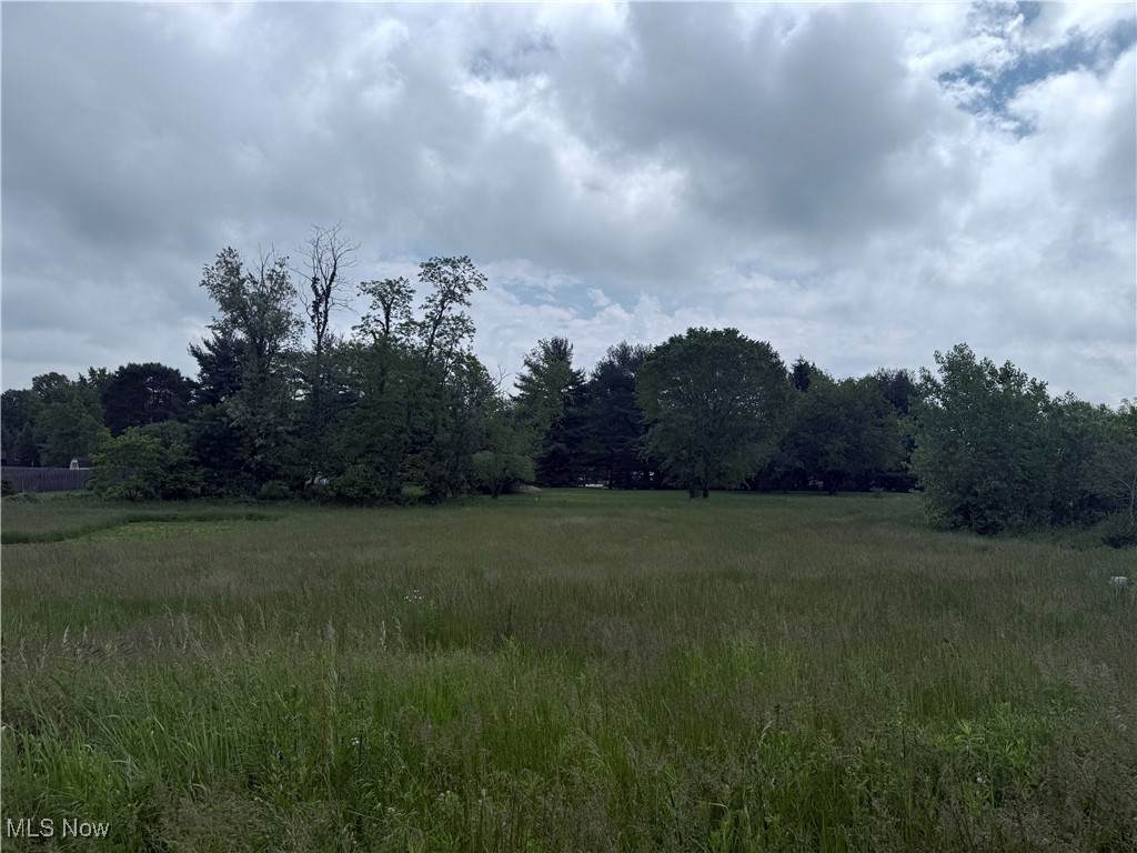 10570 Cleveland Avenue - Photo 1