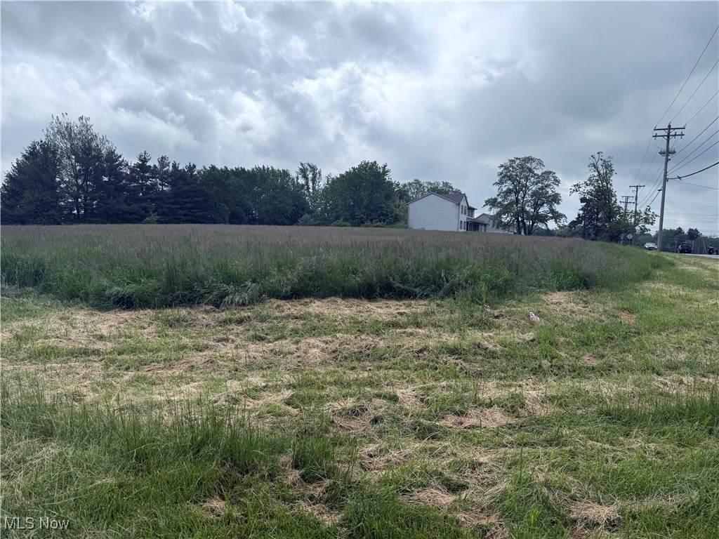 10484 Cleveland Avenue - Photo 1