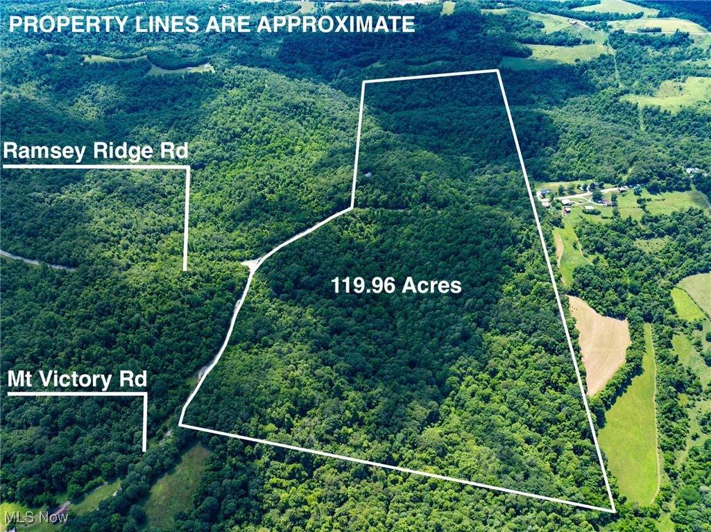 59900 Ramsey Ridge Road - Photo 1