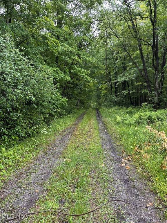 9161 Robinson Road - Photo 1