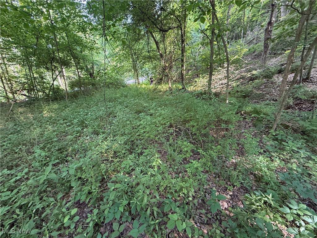14785 Egypt Road - Photo 1