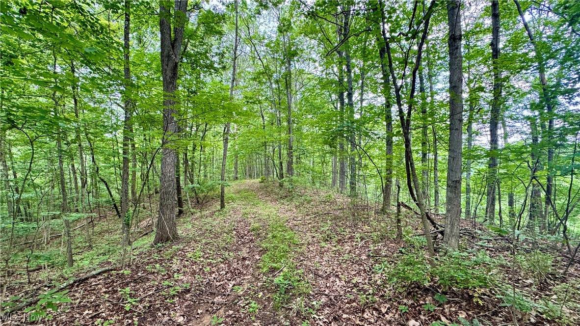  Noble Hill Rd - Photo 1