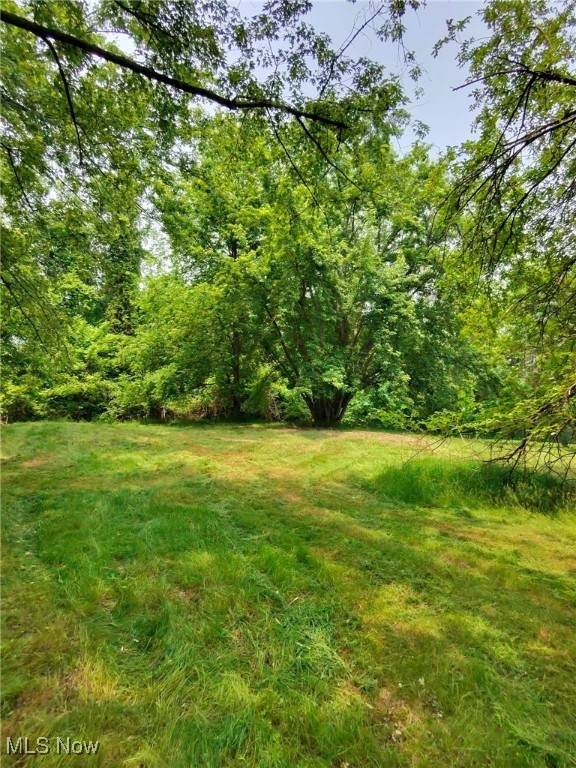 Center Road - Photo 1