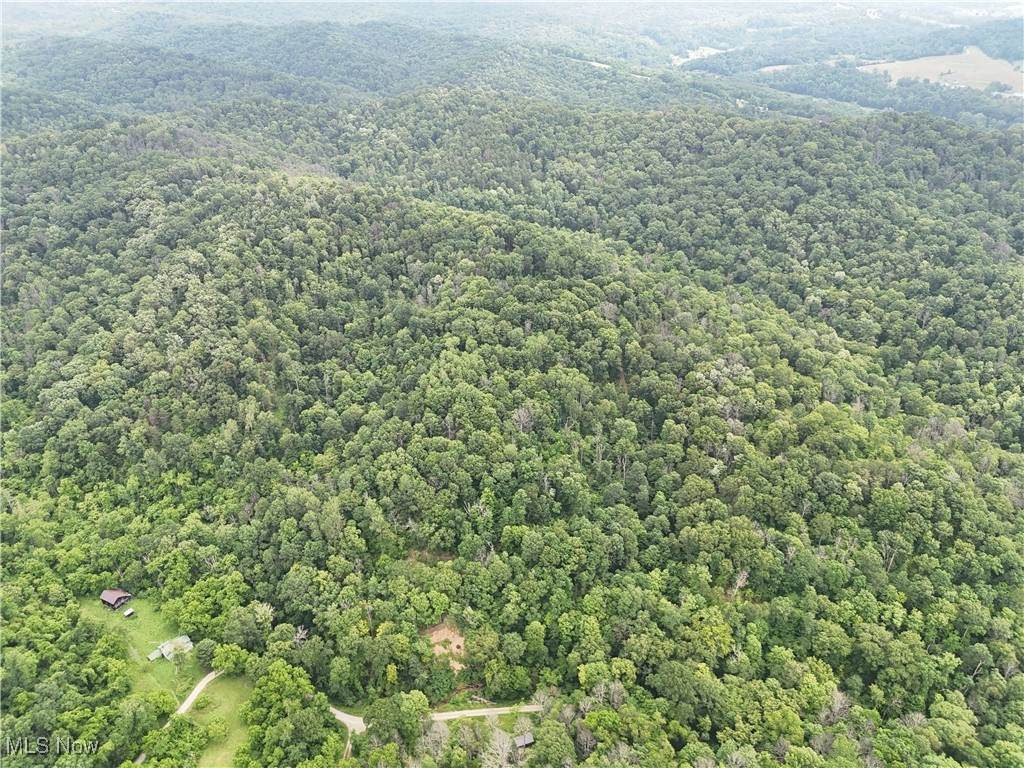 Neff Ridge Road - Photo 1