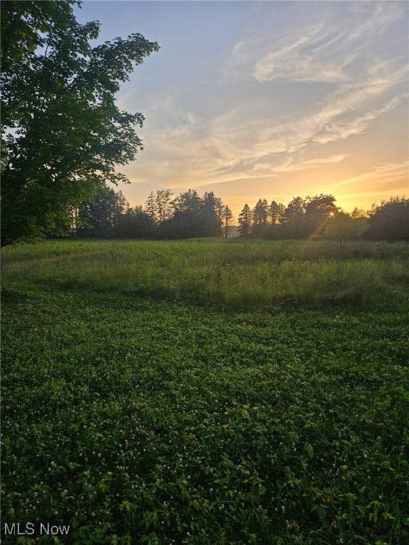 10436 Mechanicstown Road - Photo 1