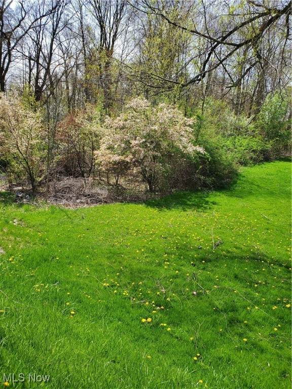 9765 Washington Street - Photo 1