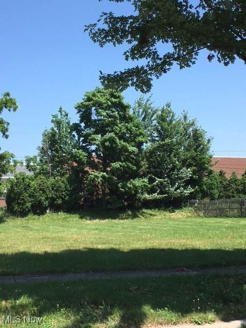 V/L Case Avenue - Photo 1