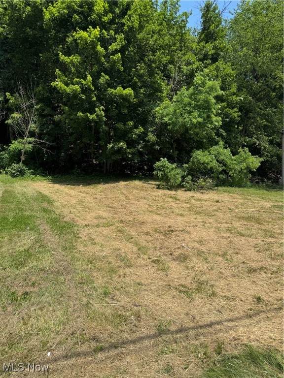 723 Lincoln Avenue - Photo 1