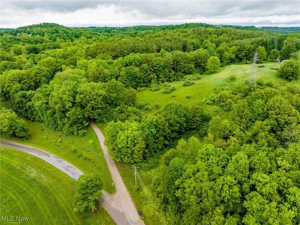 2461 Peters Creek Road - Photo 1