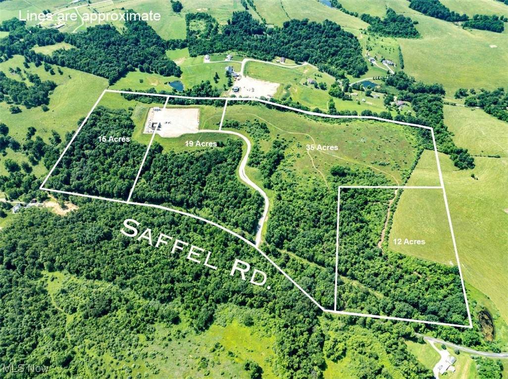 19 acres Saffell Road - Photo 1