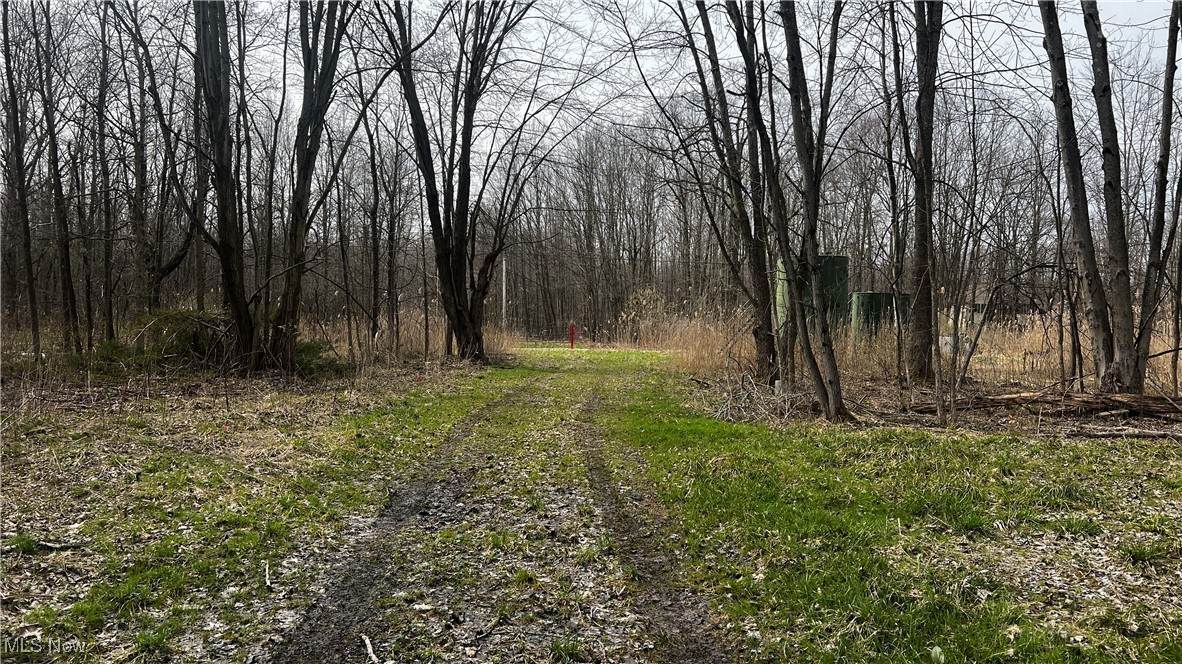 3222 Black Sea Road - Photo 1