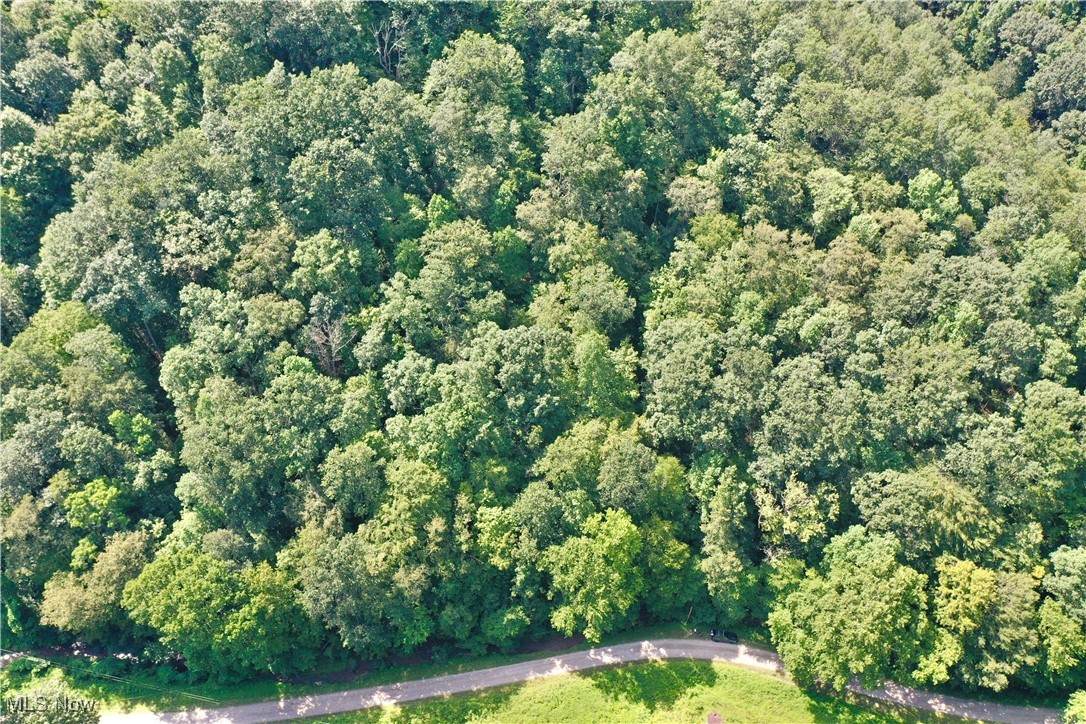 0002 Big Root Road - Photo 1