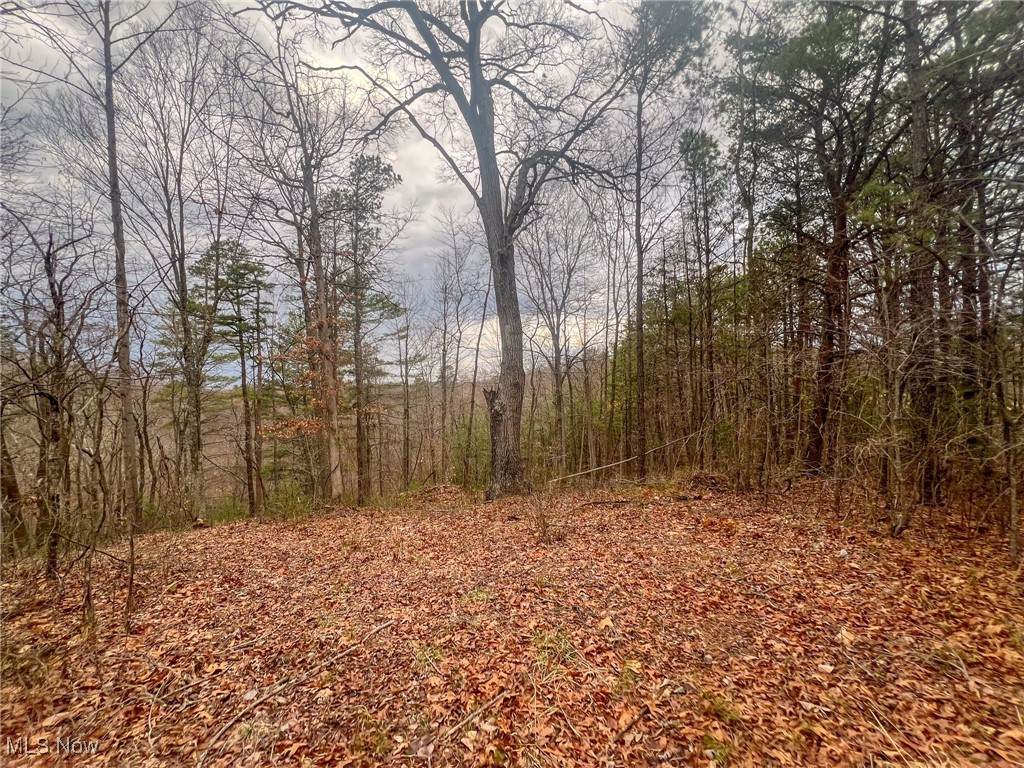  Ponetown Rd - Photo 1