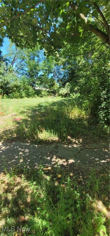  Kline Avenue - Photo 1