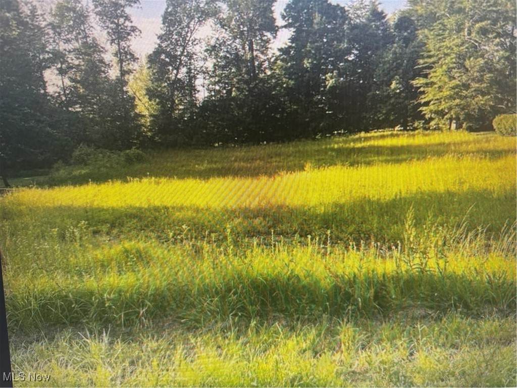 2640 Red Fox Drive - Photo 1