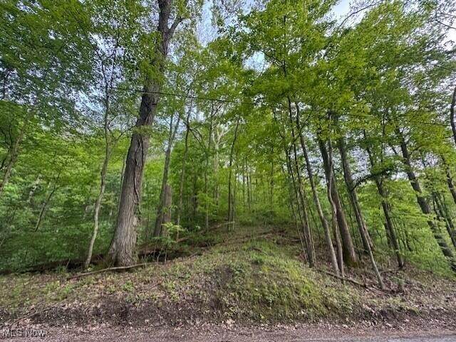 1445 Branch Road - Photo 1