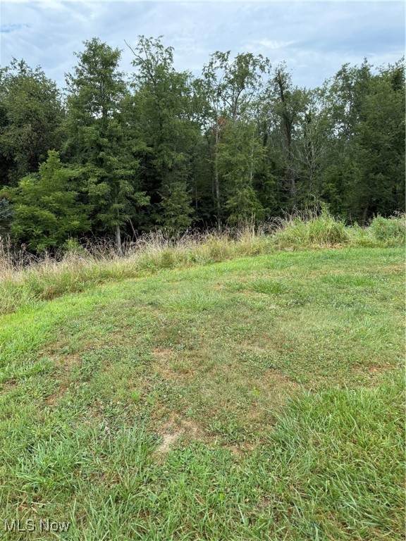  Terra Ridge Lane - Photo 1