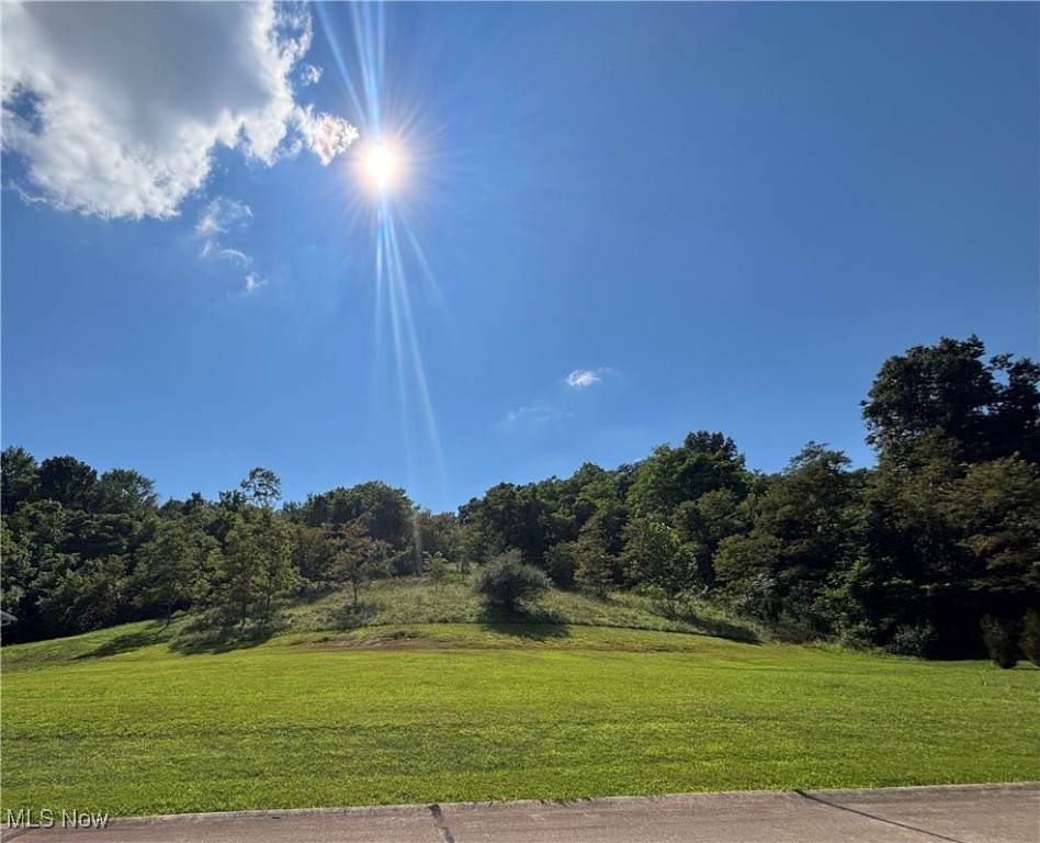 24 Emilee Trace - Photo 1