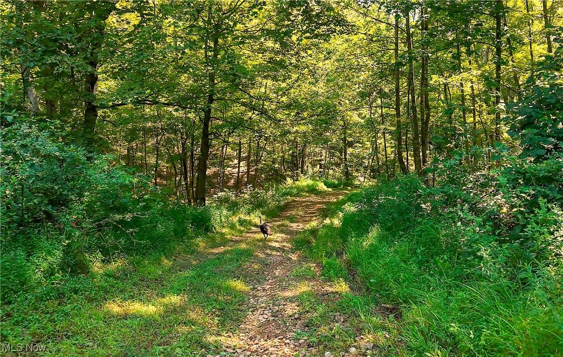 1455 St Rte 124 - Photo 1