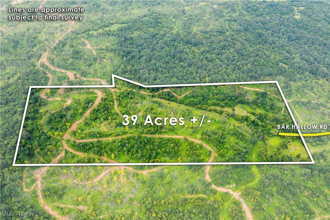  Barr Hollow Road - Photo 1