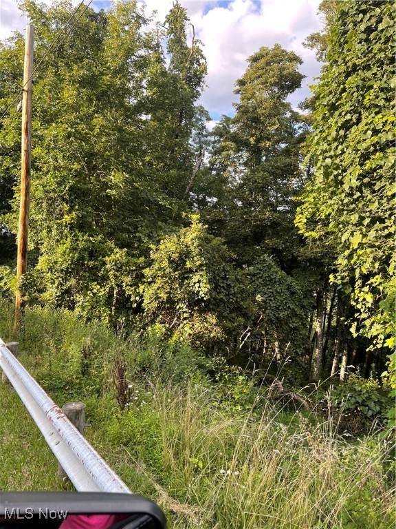  Laura Lane - Photo 1