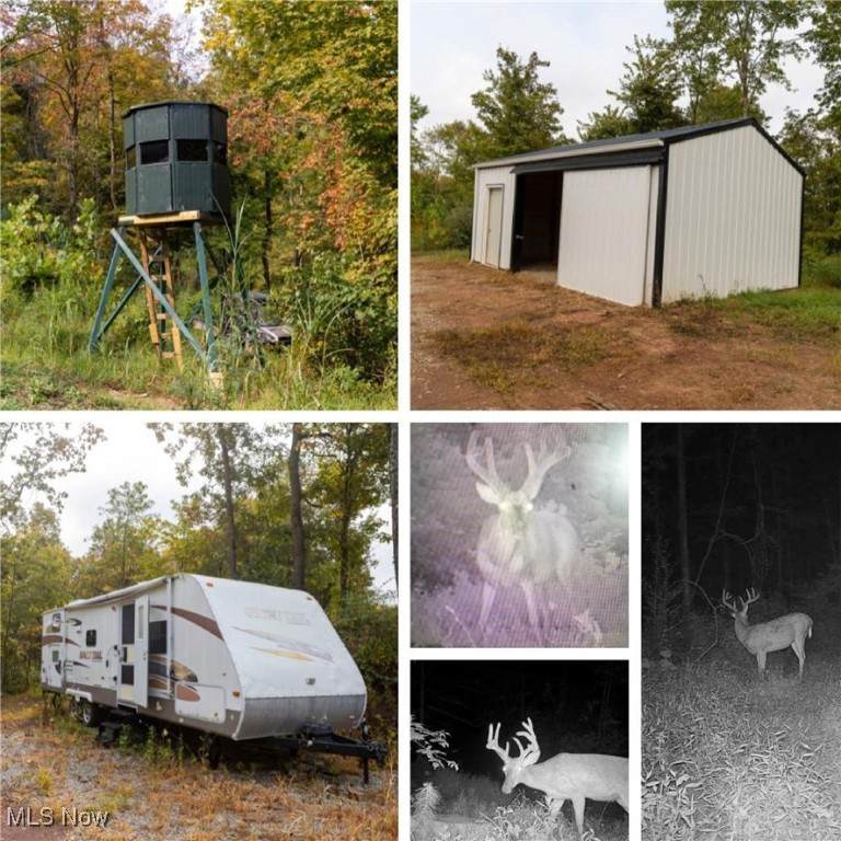 38100 Ogles Ridge Road - Photo 1