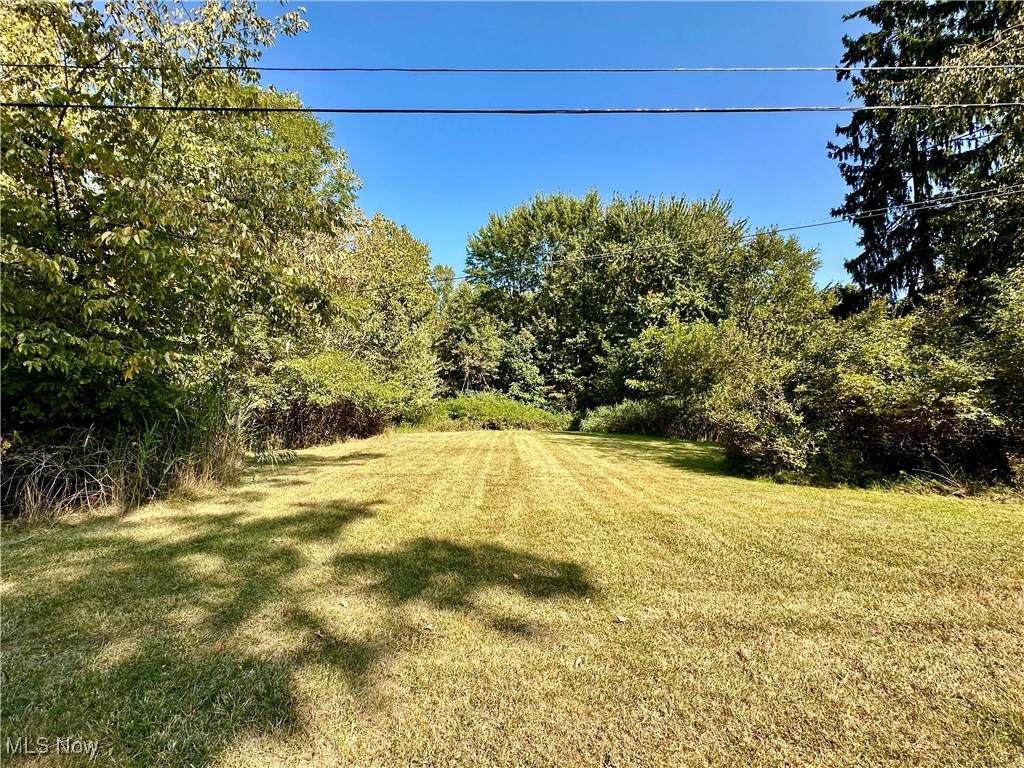  Brunsdorph Drive - Photo 1