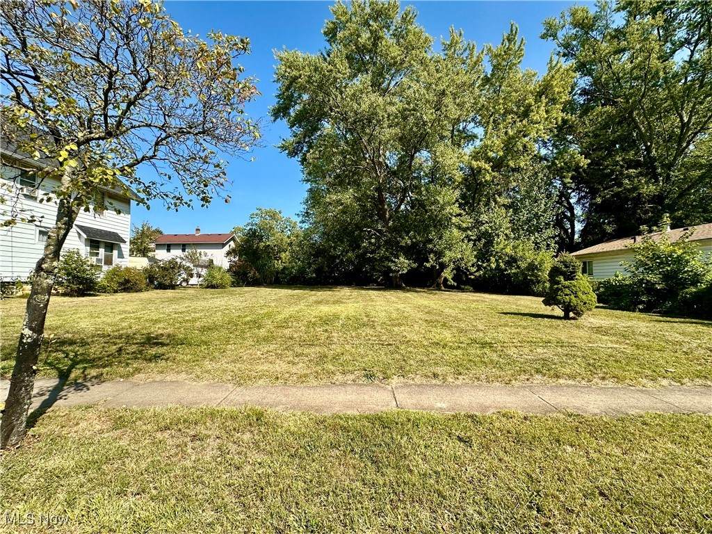 1191 Big Falls Avenue - Photo 1