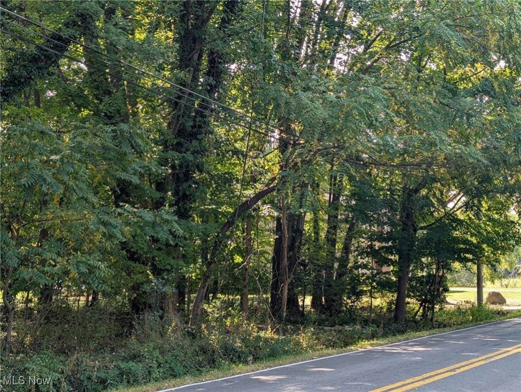  Schocalog Road - Photo 1