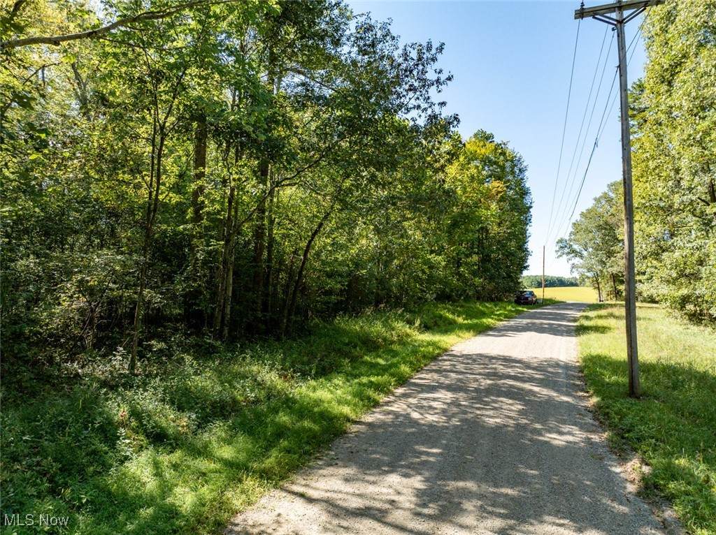 Lot 2 Shinn Road - Photo 1