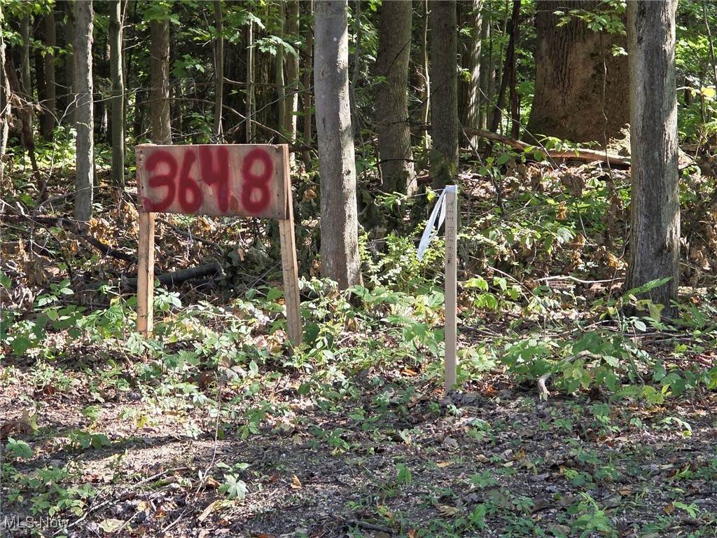 3648 Woodside Drive - Photo 1