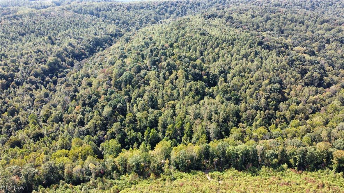  Beech Fork Road - Photo 1