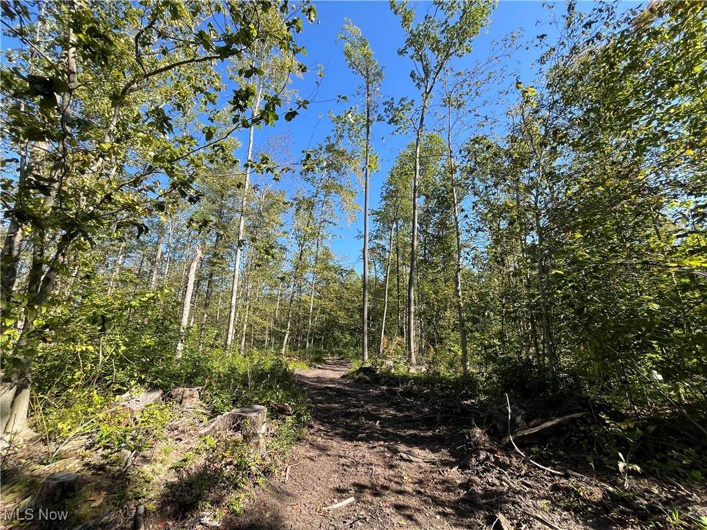 0000 Black Sea Road - Photo 1