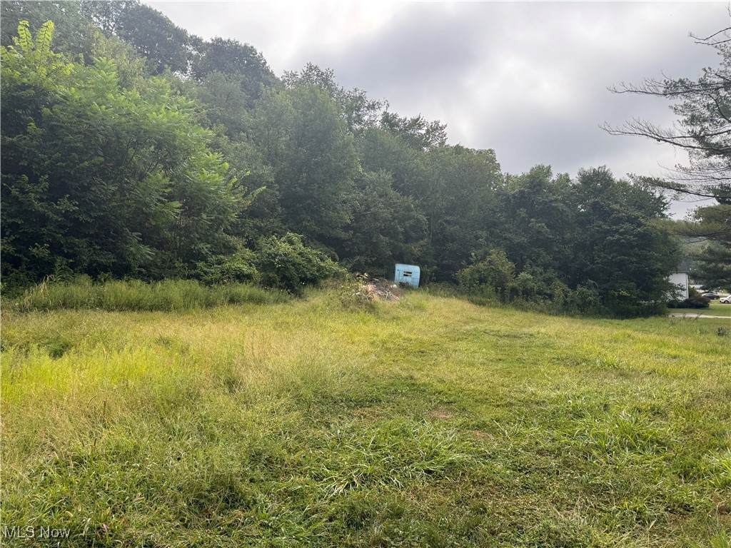 103 Horeshoe Alley - Photo 1