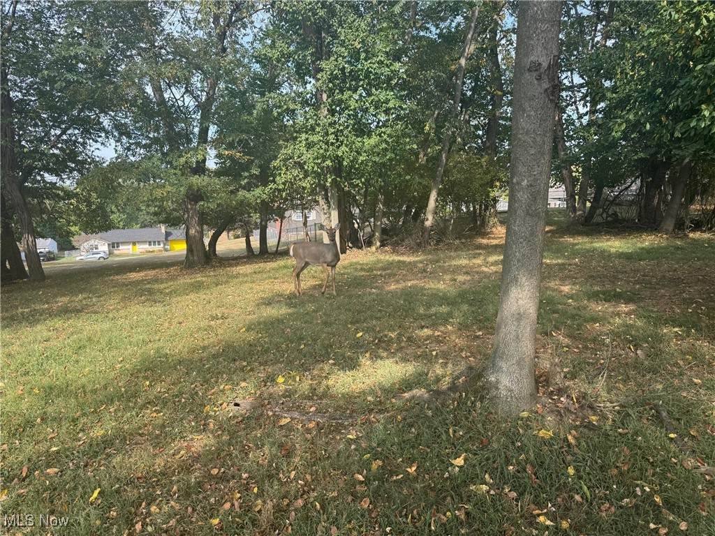  Harding- 36B Road - Photo 1