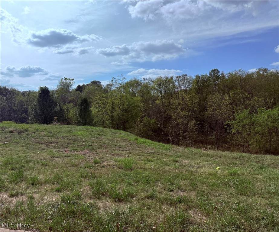  Cara Place - Photo 1