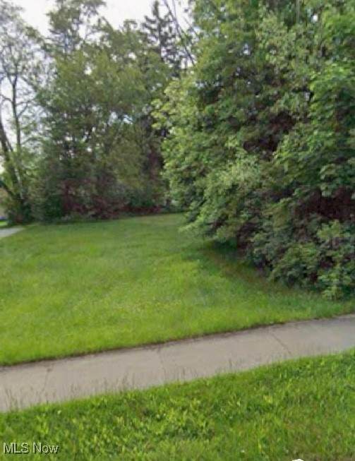 VL Mercer Avenue - Photo 1